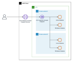 EIC Endpoint